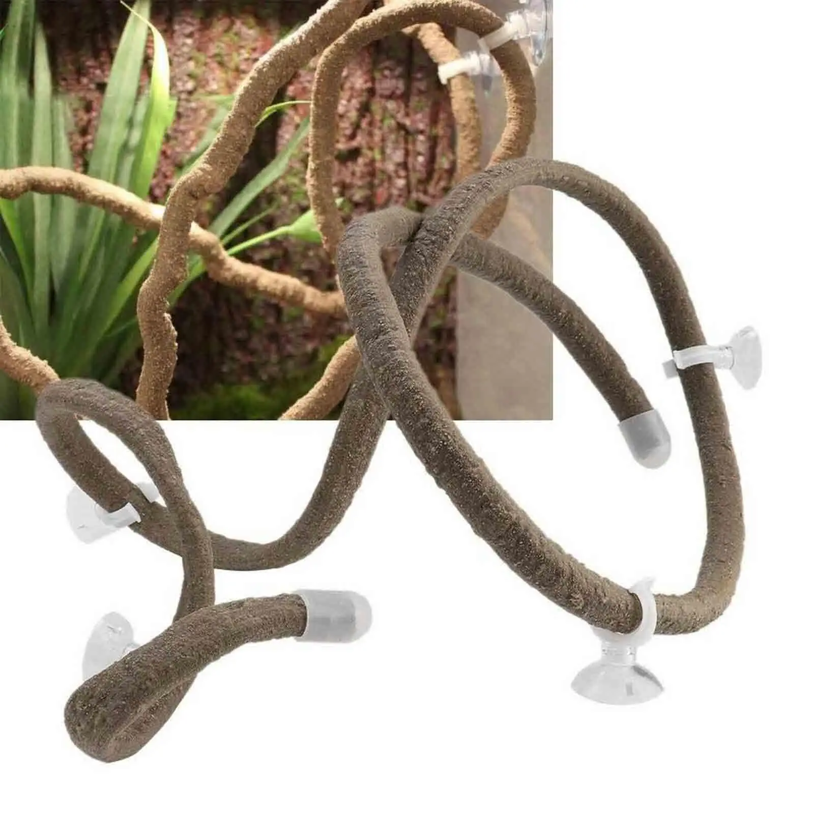 Durable PU Reptile Terrarium Vines Natural Decor Bendable Jungle Climbing Plant for Snake Chameleon Vivarium
Durable PU Reptile Terrarium Vines Natural Decor Bendable Jungle Climbing Plant for Snake Chameleon Vivarium