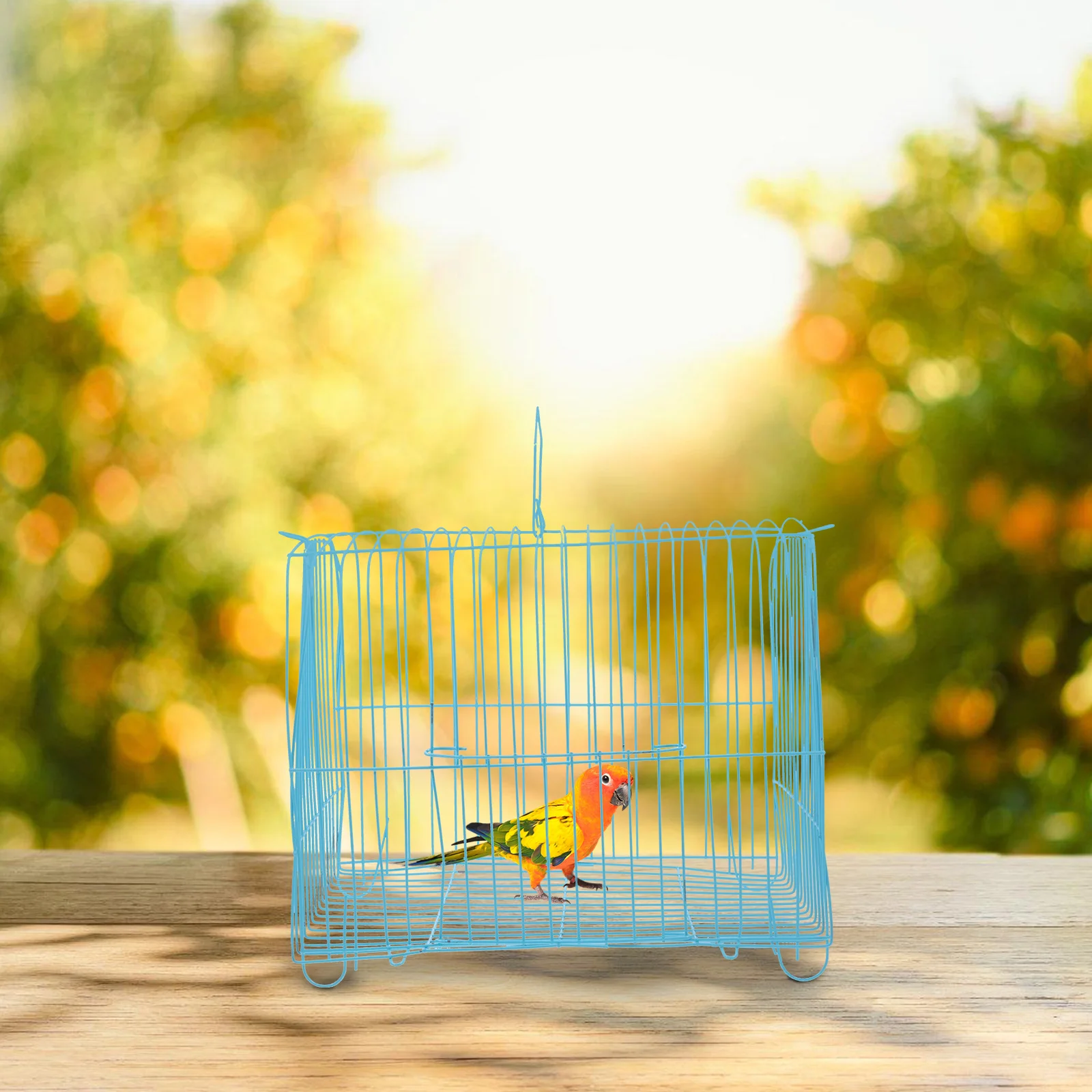 Portable Bird Cage Handcage Sky-blue Wire Parrot Cage for Outdoor Travel with Spacious Interior Excellent Ventilation for birds
Portable Bird Cage Handcage Sky-blue Wire Parrot Cage for Outdoor Travel with Spacious Interior Excellent Ventilation for birds