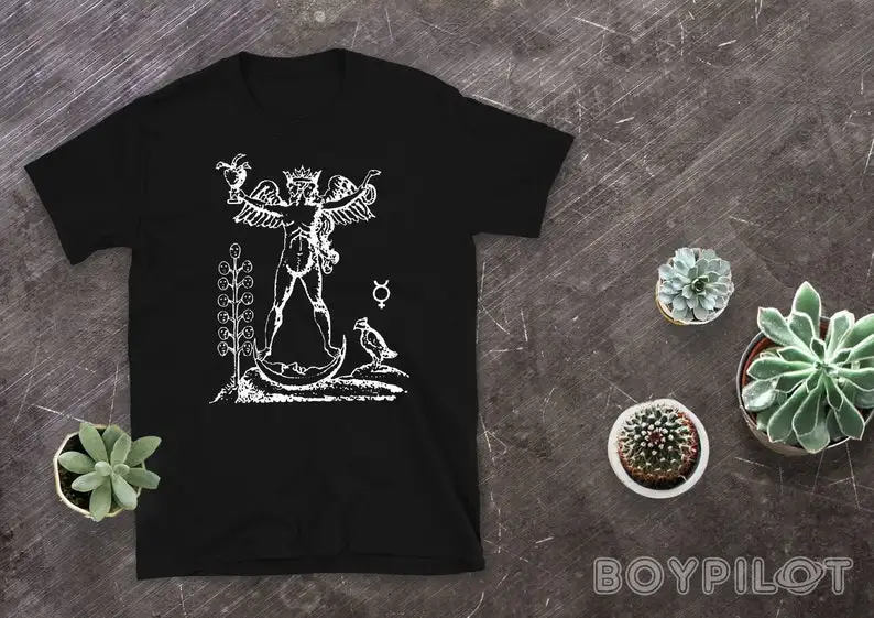 Alchemical Androgyny T-Shirt Mystical Alchemy Nonbinary Queer Medieval Art Shirt
Alchemical Androgyny T-Shirt Mystical Alchemy Nonbinary Queer Medieval Art Shirt