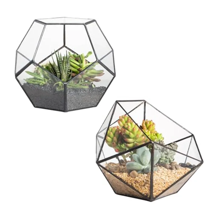 Glass Terrarium for indoor home garden and office tabletop decor: small open geometric bowl-shaped planter in clear glass, idea
Glass Terrarium for indoor home garden and office tabletop decor: small open geometric bowl-shaped planter in clear glass, idea