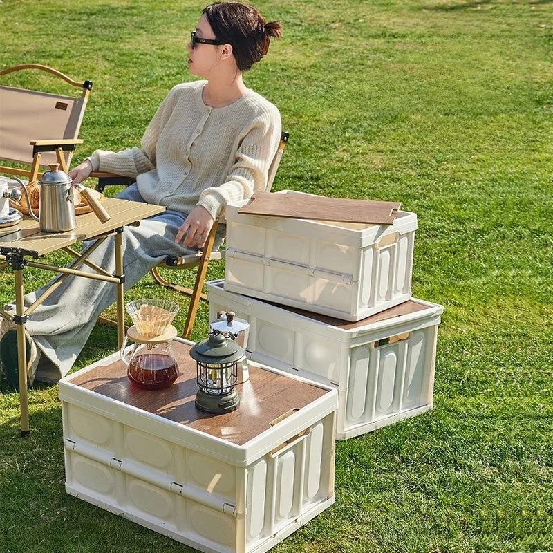 Large Capacity Outdoor Picnic Portable Vehicle Storage Box Organizer Clothing Storage Multi-Function Storage Box Carry-On
Large Capacity Outdoor Picnic Portable Vehicle Storage Box Organizer Clothing Storage Multi-Function Storage Box Carry-On