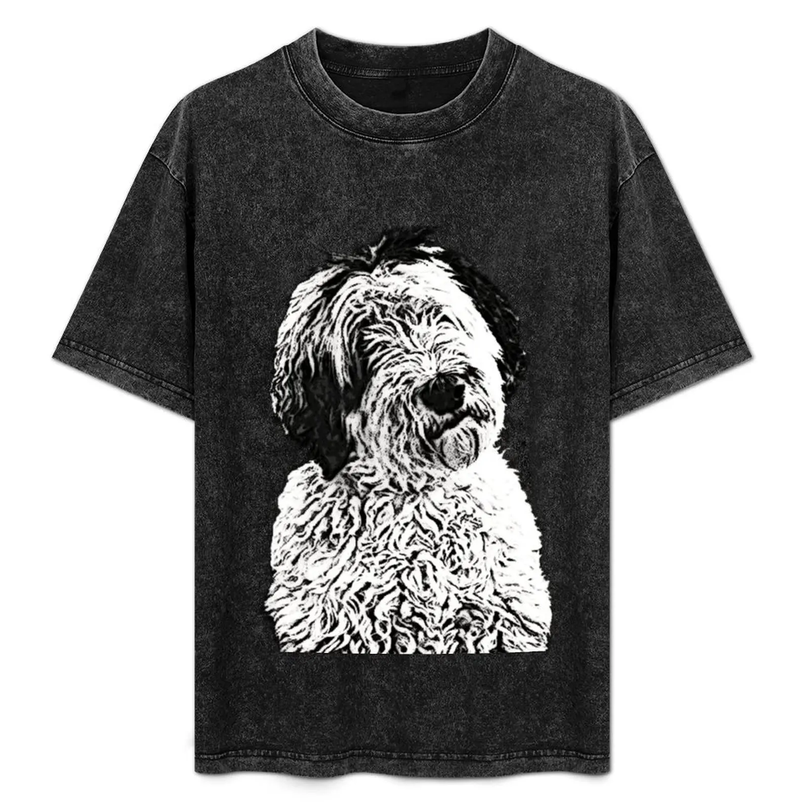 Freyja the Sheepadoodle T-Shirt Plus Size Basic Short Sleeve Top
Freyja the Sheepadoodle T-Shirt Plus Size Basic Short Sleeve Top