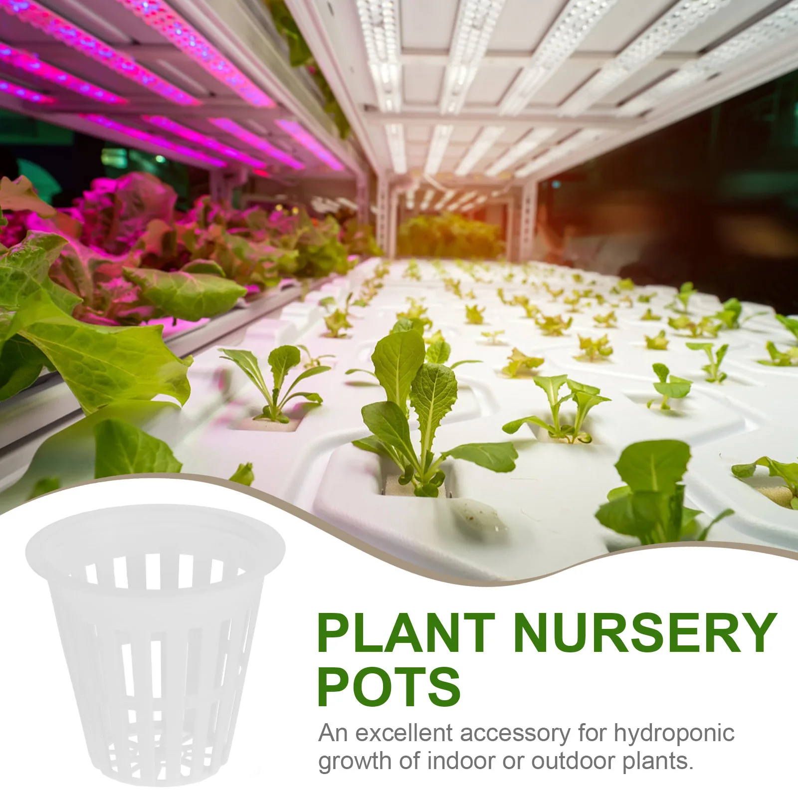 10 Pcs Indoor Plant Cultivation Planting Basket Planter Hydroponic Orchid Pots Baskets Cup Planters White
10 Pcs Indoor Plant Cultivation Planting Basket Planter Hydroponic Orchid Pots Baskets Cup Planters White