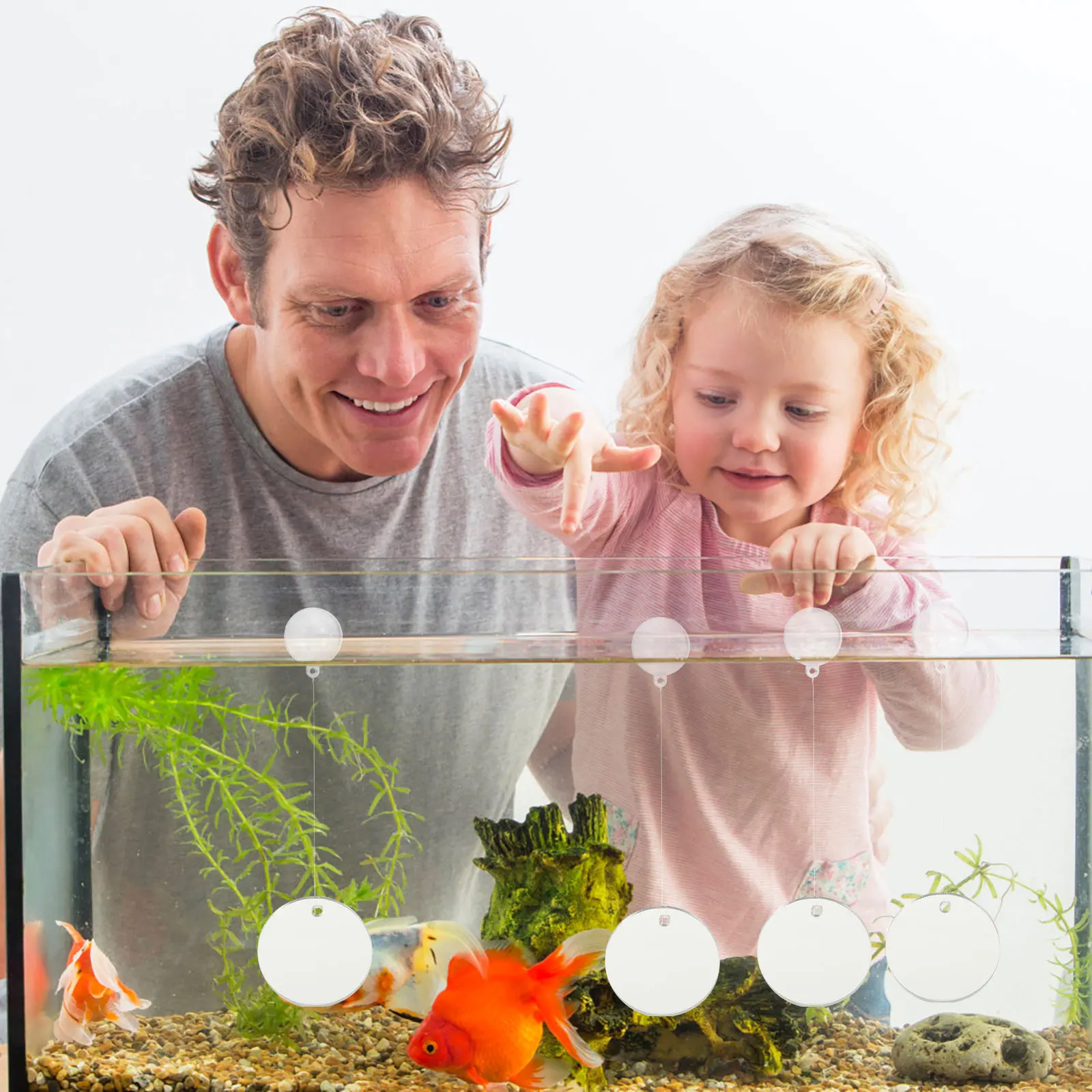 4 Pcs Fish Teasing Mirror Aquarium Tank Decoration Sports for Betta Accessories Travel
4 Pcs Fish Teasing Mirror Aquarium Tank Decoration Sports for Betta Accessories Travel