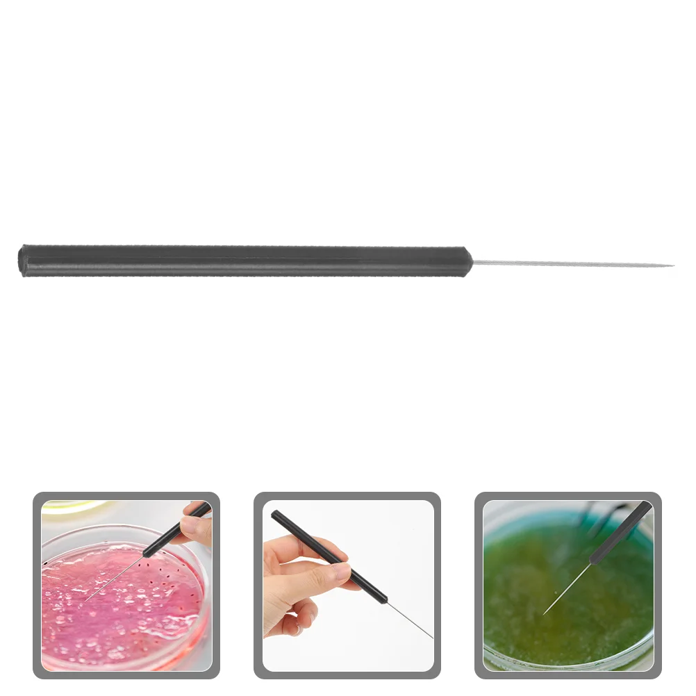 Insect Dissecting Needle Anatomy Tool School Entomology Dissection Stainless Steel Pins Scalpel Butterflies Laboratory
Insect Dissecting Needle Anatomy Tool School Entomology Dissection Stainless Steel Pins Scalpel Butterflies Laboratory