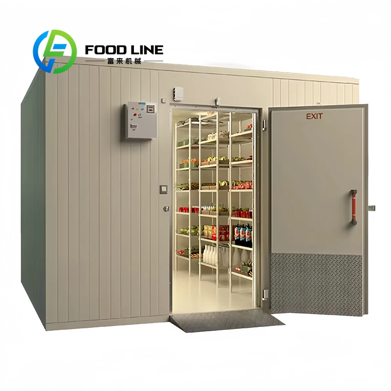 Cold Storage Rooms Walk in Freezer Mobile Container Cold Room Refrigerator Equipment for Vegetables Fruits
Cold Storage Rooms Walk in Freezer Mobile Container Cold Room Refrigerator Equipment for Vegetables Fruits
