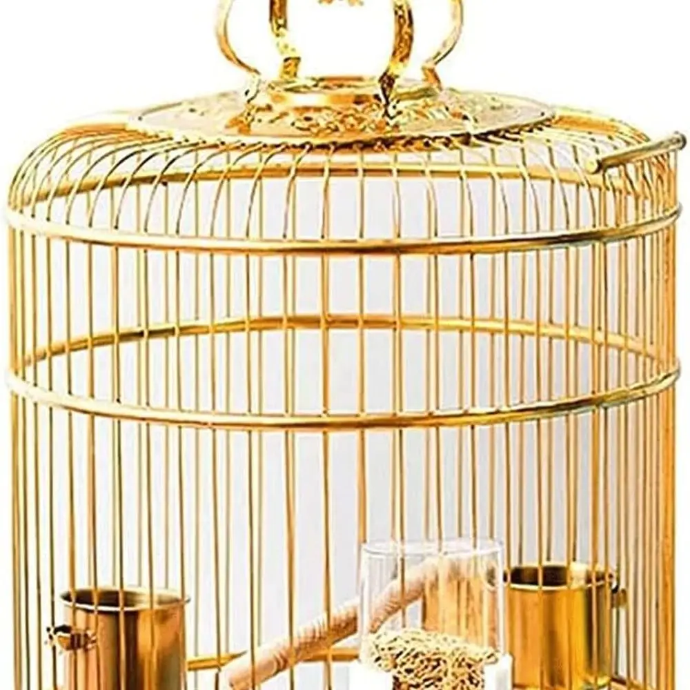 Portable Gold-Plated Bird Cage, 36cm Spacious Travel Cage for Home and Flying Birds
Portable Gold-Plated Bird Cage, 36cm Spacious Travel Cage for Home and Flying Birds