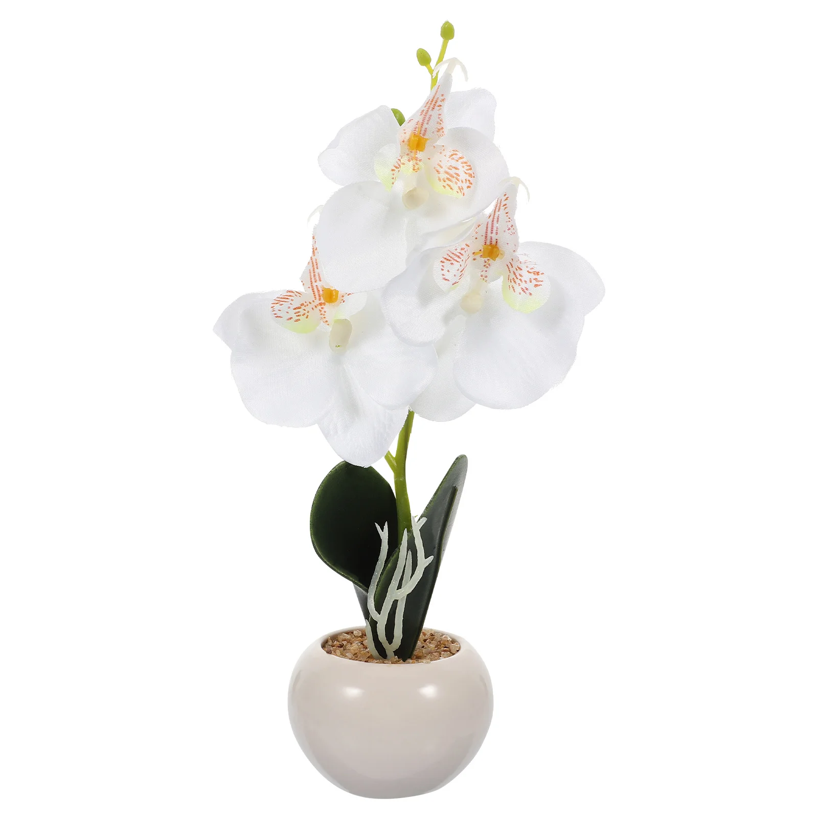 Simulation Potted Phalaenopsis Artificial Bonsai Decor For Home Office Desktop Indoor Plants Faux Flower Plant
Simulation Potted Phalaenopsis Artificial Bonsai Decor For Home Office Desktop Indoor Plants Faux Flower Plant