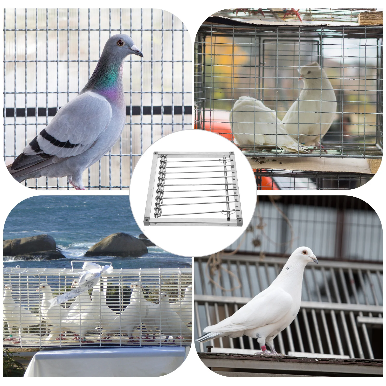 Pigeon Cage Door Stainless Steel Durable Easy Install Homing Pigeon Entrance Bird Supply Racing Loft Door Bird Cage Bar
Pigeon Cage Door Stainless Steel Durable Easy Install Homing Pigeon Entrance Bird Supply Racing Loft Door Bird Cage Bar