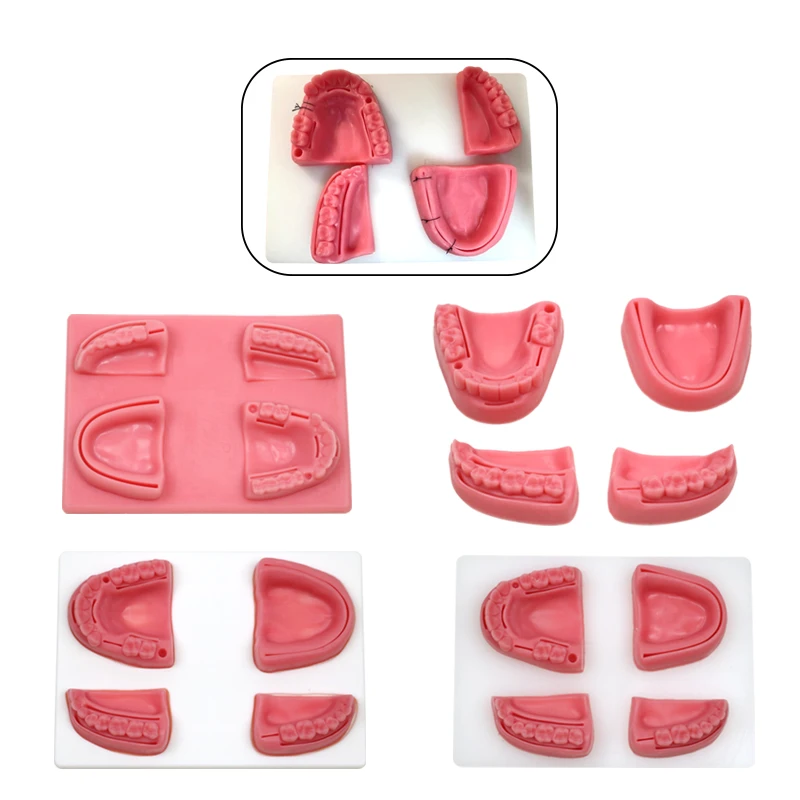 GREATLH Dental Tool Oral Suture Module Periodontitis Suture Silicone Training Model Dental Instrument
GREATLH Dental Tool Oral Suture Module Periodontitis Suture Silicone Training Model Dental Instrument