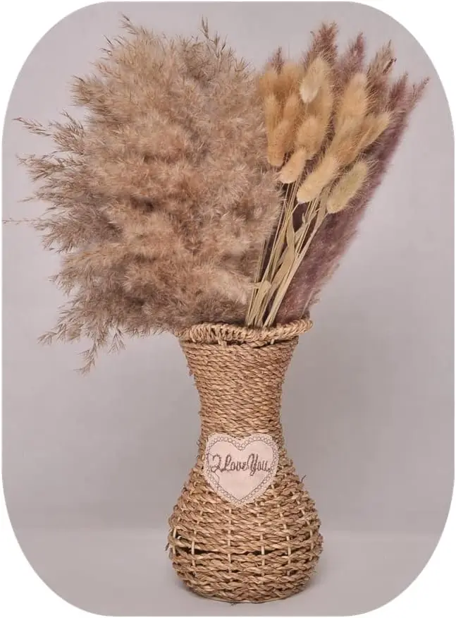 90PCS Natural Dried Lavender Bundles Perfect Christmas Autumn Thanksgiving Harvest Festival Halloween Decor Flowers Wedding
90PCS Natural Dried Lavender Bundles Perfect Christmas Autumn Thanksgiving Harvest Festival Halloween Decor Flowers Wedding