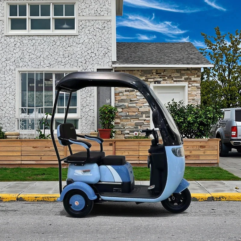 Hot Selling Mobility Best Price Transport Car Mini Tricycle 3 Wheel Cargo Tricycle Adult Open Body for Passenger
Hot Selling Mobility Best Price Transport Car Mini Tricycle 3 Wheel Cargo Tricycle Adult Open Body for Passenger