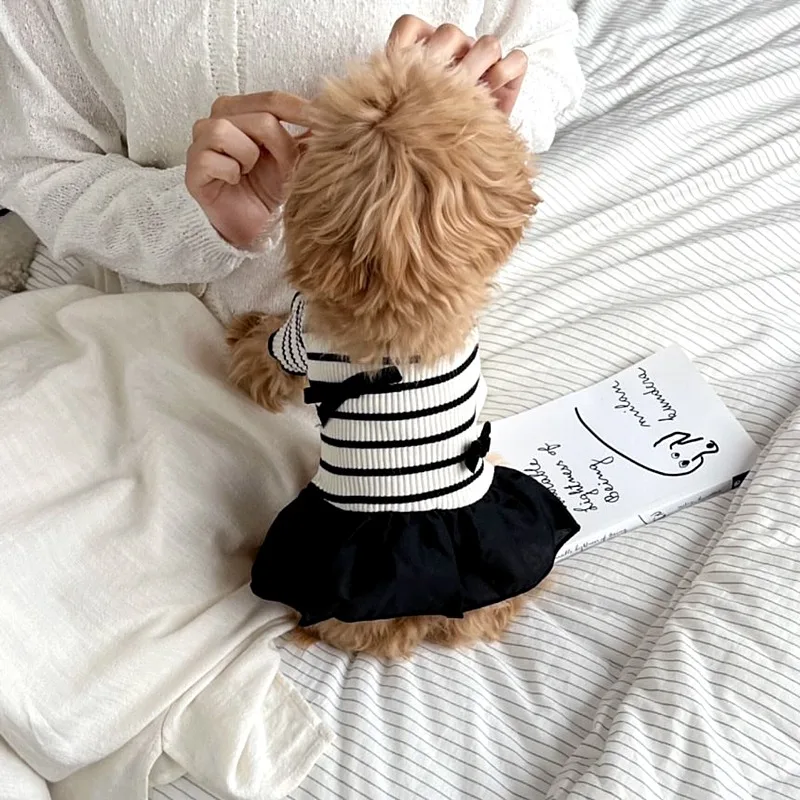 Summer Pet Couple T-Shirt Summer Skirt Teddy Fashion Striped Dress Pomeranian Breathable Pullover Puppy Princess Skirt
Summer Pet Couple T-Shirt Summer Skirt Teddy Fashion Striped Dress Pomeranian Breathable Pullover Puppy Princess Skirt