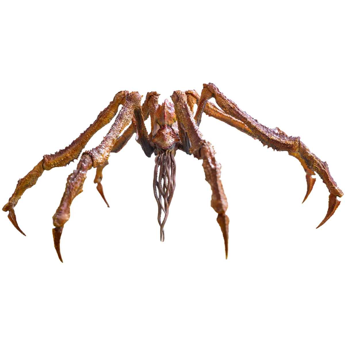 HiPlay Hiya Toys Exquisite Basic Godzilla vs. Kong: The New Empire Scylla Highly Articulated Action Figures
HiPlay Hiya Toys Exquisite Basic Godzilla vs. Kong: The New Empire Scylla Highly Articulated Action Figures