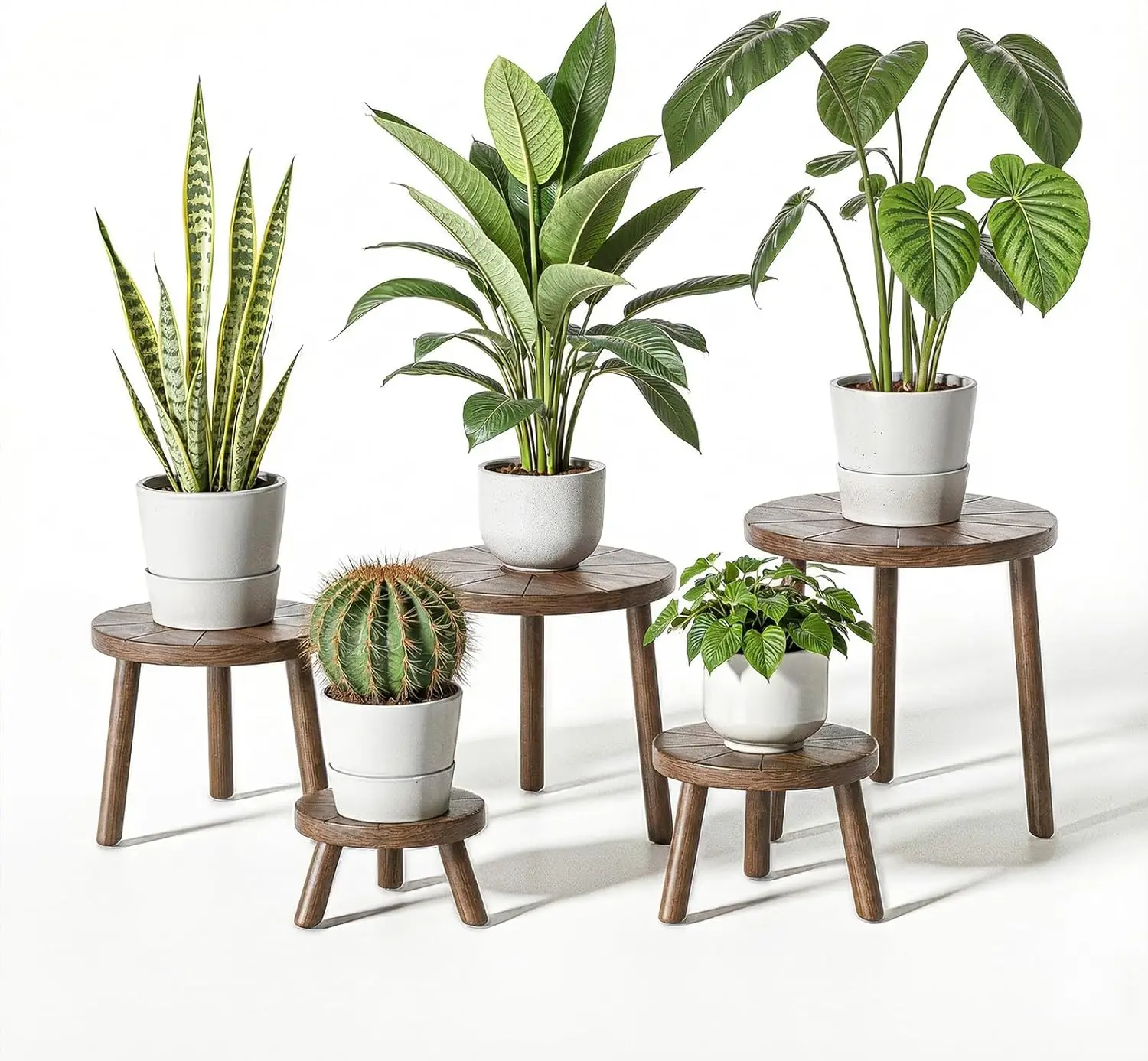 5-Pack Wooden Plant Stands for Indoor Plants, Graduated Heights 3.9-11.8 Inches, Modern Design for Living Room Office Balcony
5-Pack Wooden Plant Stands for Indoor Plants, Graduated Heights 3.9-11.8 Inches, Modern Design for Living Room Office Balcony