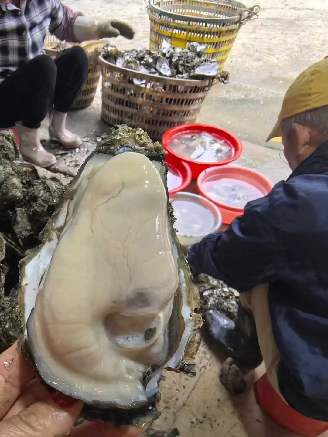 General-purpose high-capacity two-wheeled and three-wheeled electric vehicle batteries 48V 60V 72V
General-purpose high-capacity two-wheeled and three-wheeled electric vehicle batteries 48V 60V 72V