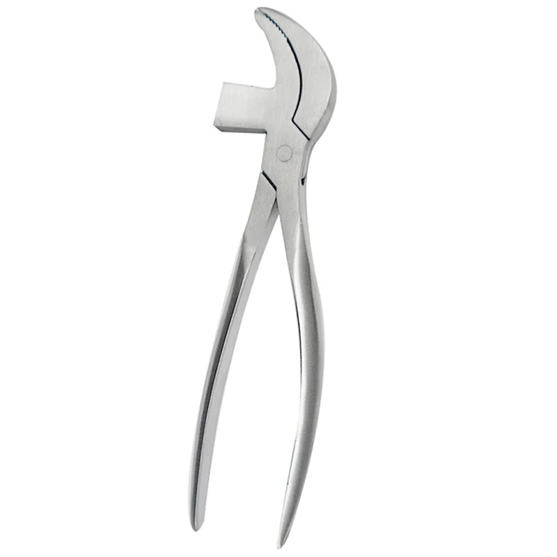 A74E-2X плоскогубцы для клюва из нержавеющей стали, плоскогубцы, инструмент для ремонта с удалением ногтей для обуви, технология ремонта кожи своими руками
A74E-2X плоскогубцы для клюва из нержавеющей стали, плоскогубцы, инструмент для ремонта с удалением ногтей для обуви, технология ремонта кожи своими руками