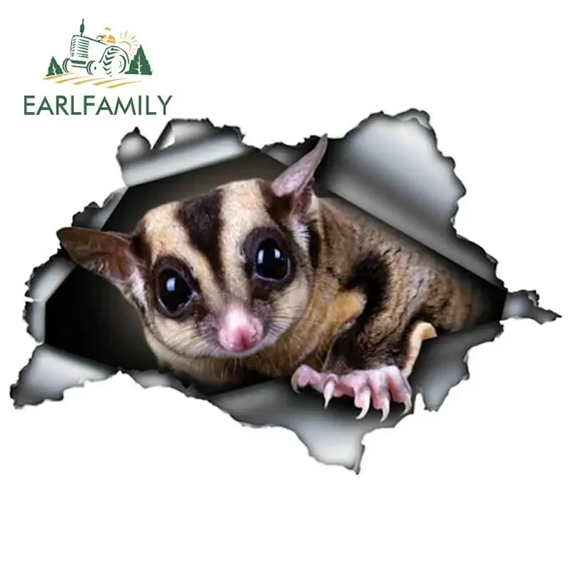 EARLFAMILY 13 см x 12,7 см 3D наклейка на автомобиль в виде сахарного поссума, эффект разорванного металла, светоотражающая наклейка JDM для бампера автомобиля, декор для авто и мотоциклов
EARLFAMILY 13 см x 12,7 см 3D наклейка на автомобиль в виде сахарного поссума, эффект разорванного металла, светоотражающая наклейка JDM для бампера автомобиля, декор для авто и мотоциклов