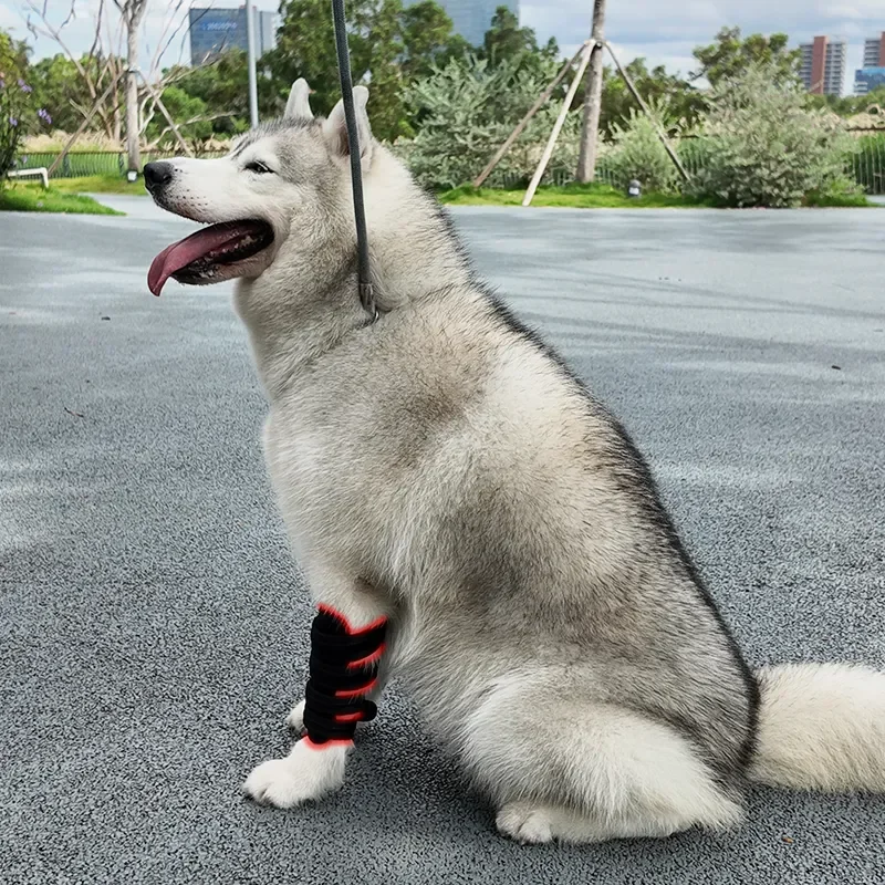 New Pet Therapy Home Use Dog Red Light Pain Therapy 660nm 850nm Mat For Leg Pets
New Pet Therapy Home Use Dog Red Light Pain Therapy 660nm 850nm Mat For Leg Pets