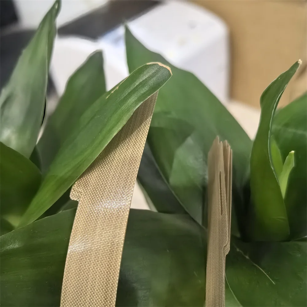 604K62200 604K94280 604K62210 Лист нагревательного ремня фьюзера для Xerox WorkCentre WC 7525 7530 7535 7545 7556 7830 7835 7845 7855
604K62200 604K94280 604K62210 Лист нагревательного ремня фьюзера для Xerox WorkCentre WC 7525 7530 7535 7545 7556 7830 7835 7845 7855