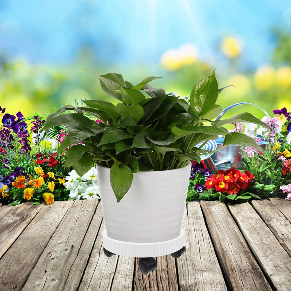 Sturdy Rolling Plant Tray With Wheels Round Flower Pot Mover Caster Plant Stand Indoor Decor
Sturdy Rolling Plant Tray With Wheels Round Flower Pot Mover Caster Plant Stand Indoor Decor