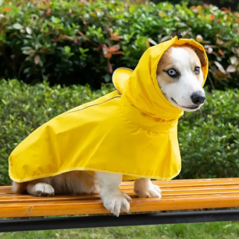 Водонепроницаемая одежда для крупных собак: дождевик для пуделя, шнауцера, корги, шиба-ину, хаски, лабрадора, золотистого ретривера
Водонепроницаемая одежда для крупных собак: дождевик для пуделя, шнауцера, корги, шиба-ину, хаски, лабрадора, золотистого ретривера