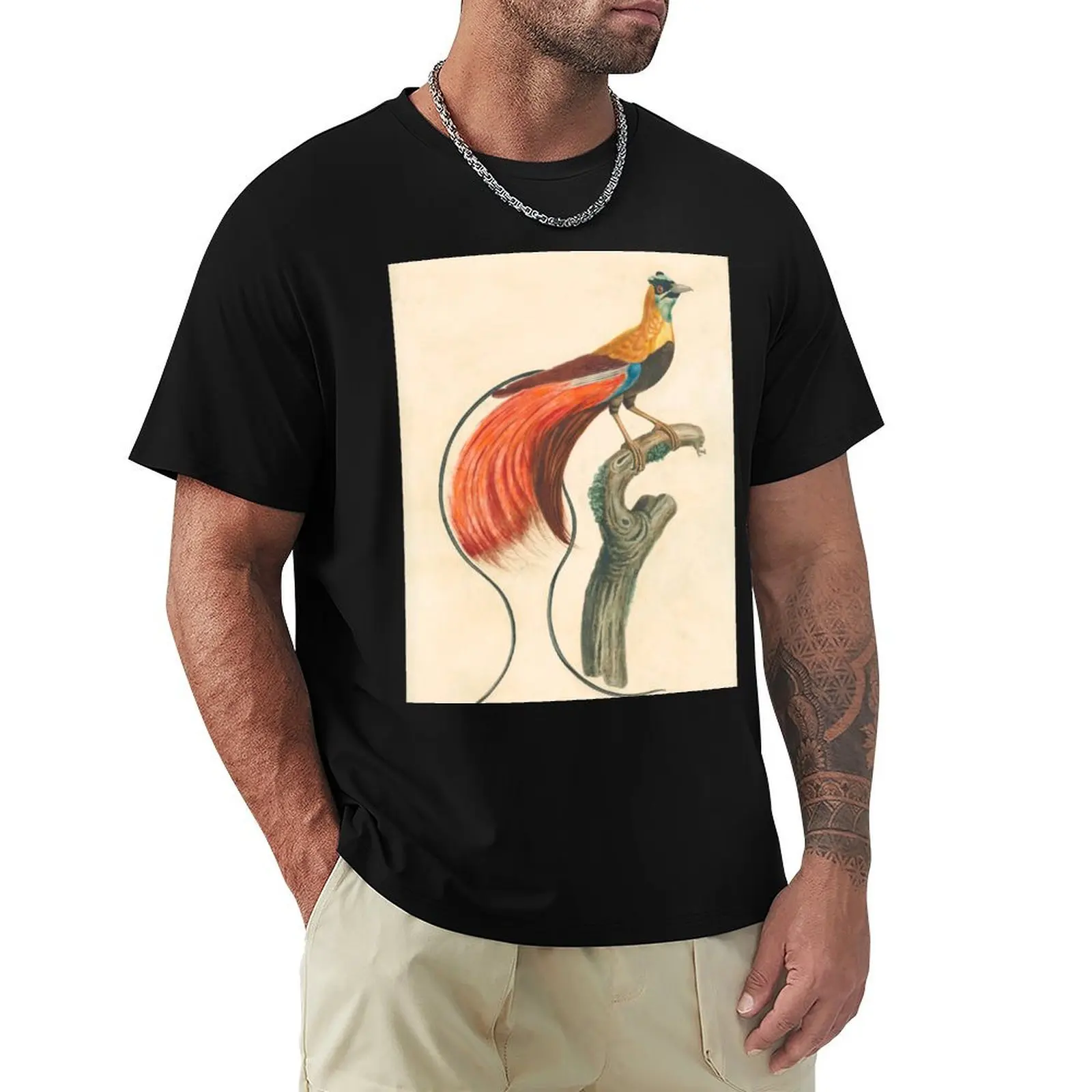 Raggiana Bird of Paradise T-Shirt hippie clothes oversized graphic tee men clothing 
Raggiana Bird of Paradise T-Shirt hippie clothes oversized graphic tee men clothing