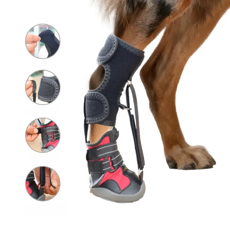 1PC Drops Foot Brace Dog Ankle Support Protective Shoes Anti-Slip Dogs Protective Booties for Injury Recovery Outdoor Walking
1PC Drops Foot Brace Dog Ankle Support Protective Shoes Anti-Slip Dogs Protective Booties for Injury Recovery Outdoor Walking