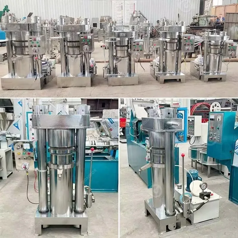 2026Hydraulic Cold Press Sesame Seed Coconut Olive Avocado Oil Process Pressing Extraction hine
2026Hydraulic Cold Press Sesame Seed Coconut Olive Avocado Oil Process Pressing Extraction hine