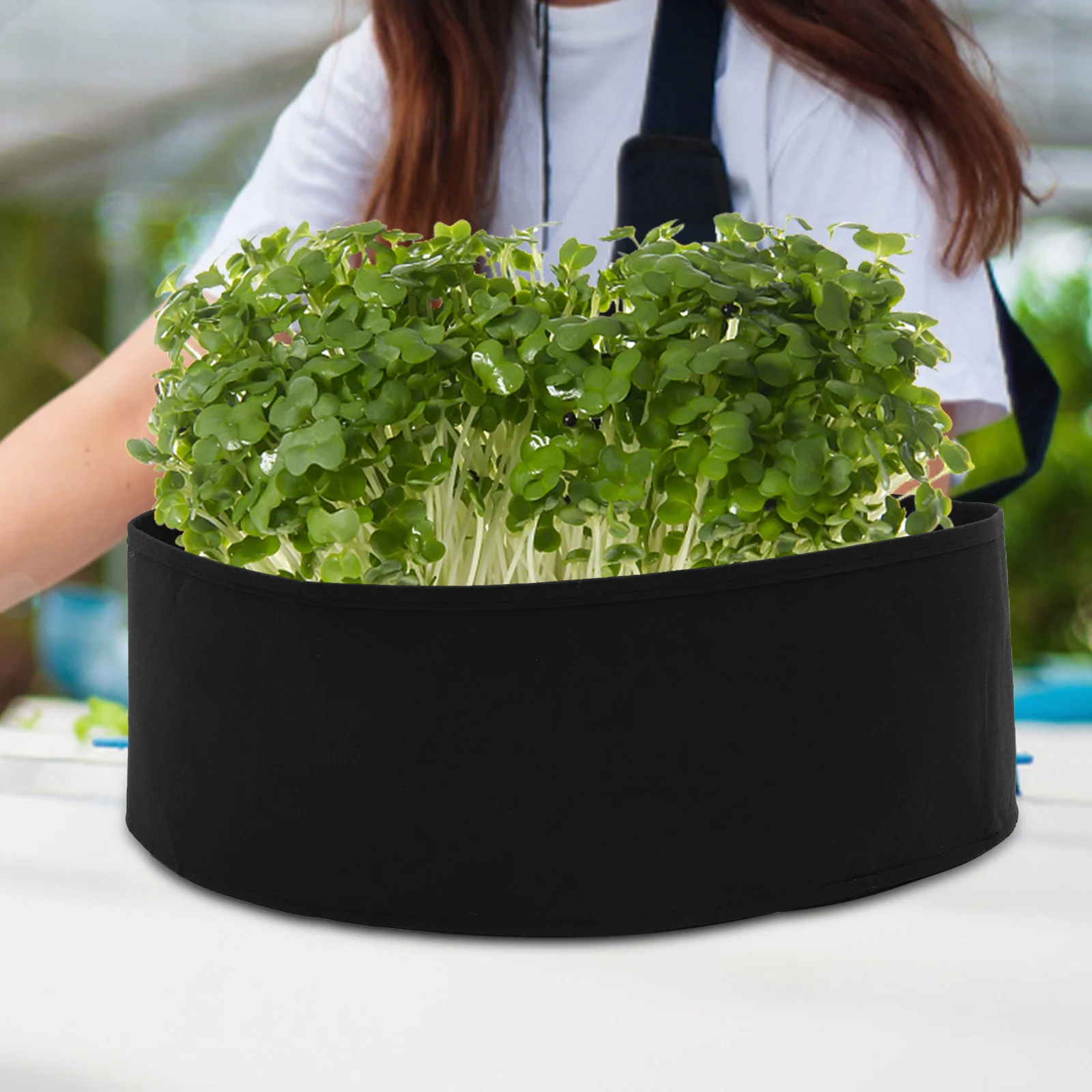 2 Pcs Felt Planting Bags Flower Pots for Plants Vegetable Planter Growing Container Breathable
2 Pcs Felt Planting Bags Flower Pots for Plants Vegetable Planter Growing Container Breathable