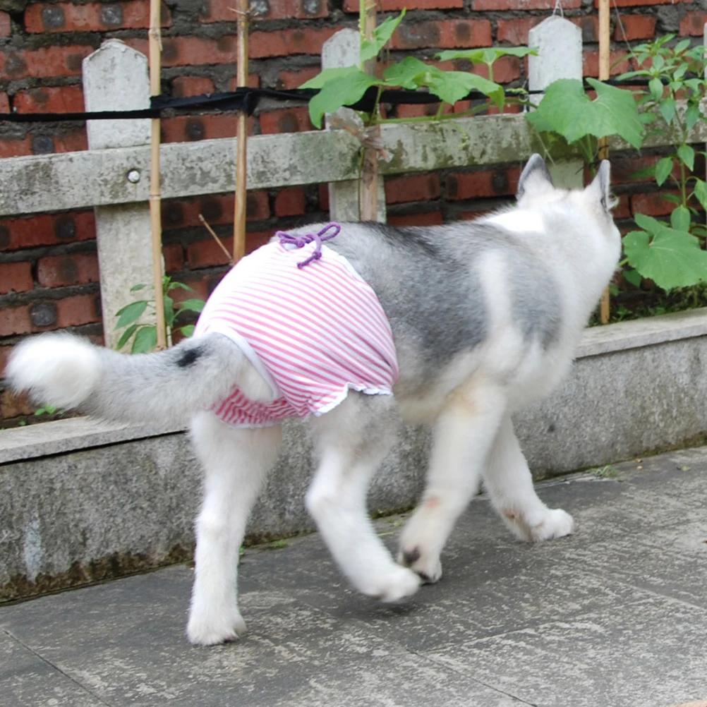 Breathable Cotton Pet Diapers Female Dog Pants Stripe Pattern Good Absorption For Floor And Furniture Protection
Breathable Cotton Pet Diapers Female Dog Pants Stripe Pattern Good Absorption For Floor And Furniture Protection