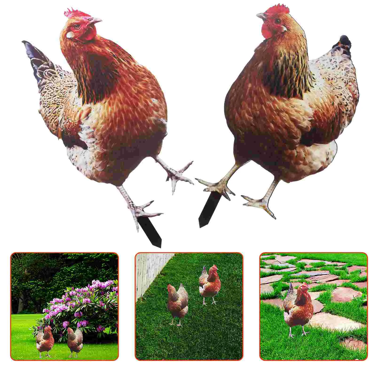 2 Pcs Chicken Garden Decoration Animal Yard Sign Stake House Backyard Accessory Acrylic Lawn Ornament
2 Pcs Chicken Garden Decoration Animal Yard Sign Stake House Backyard Accessory Acrylic Lawn Ornament