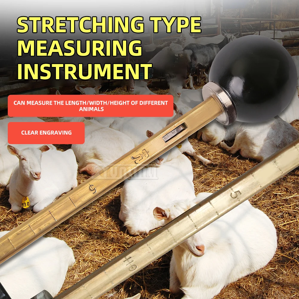 Extendable Animal Measuring Staff Instrument for Cattle And Sheep Height Measurement Durable Agricultural Tool
Extendable Animal Measuring Staff Instrument for Cattle And Sheep Height Measurement Durable Agricultural Tool