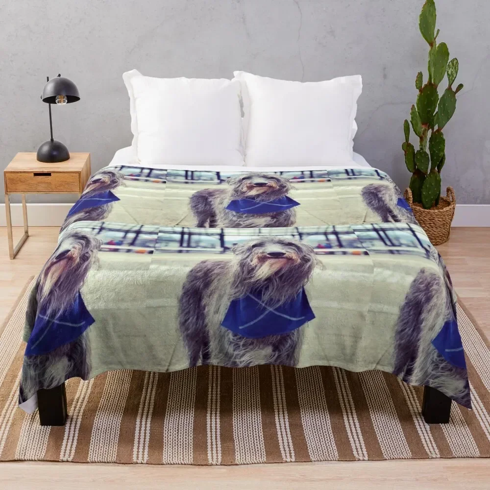 Scottish Deerhound with Scottish Flag Throw Blanket Long Lasting Soft Plush Blanket for Daily Use
Scottish Deerhound with Scottish Flag Throw Blanket Long Lasting Soft Plush Blanket for Daily Use