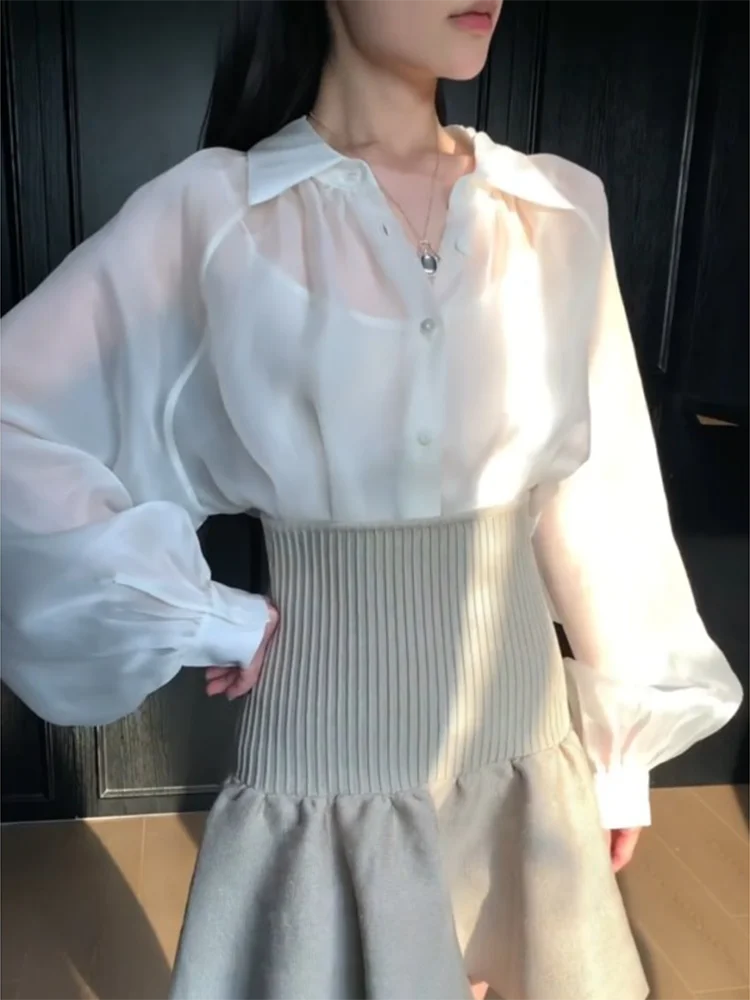 Summer New Women's Loose Lantern Sleeve Shirt Translucent Flip Collar Commute White Cover up Top Fashionable Workwear
Summer New Women's Loose Lantern Sleeve Shirt Translucent Flip Collar Commute White Cover up Top Fashionable Workwear