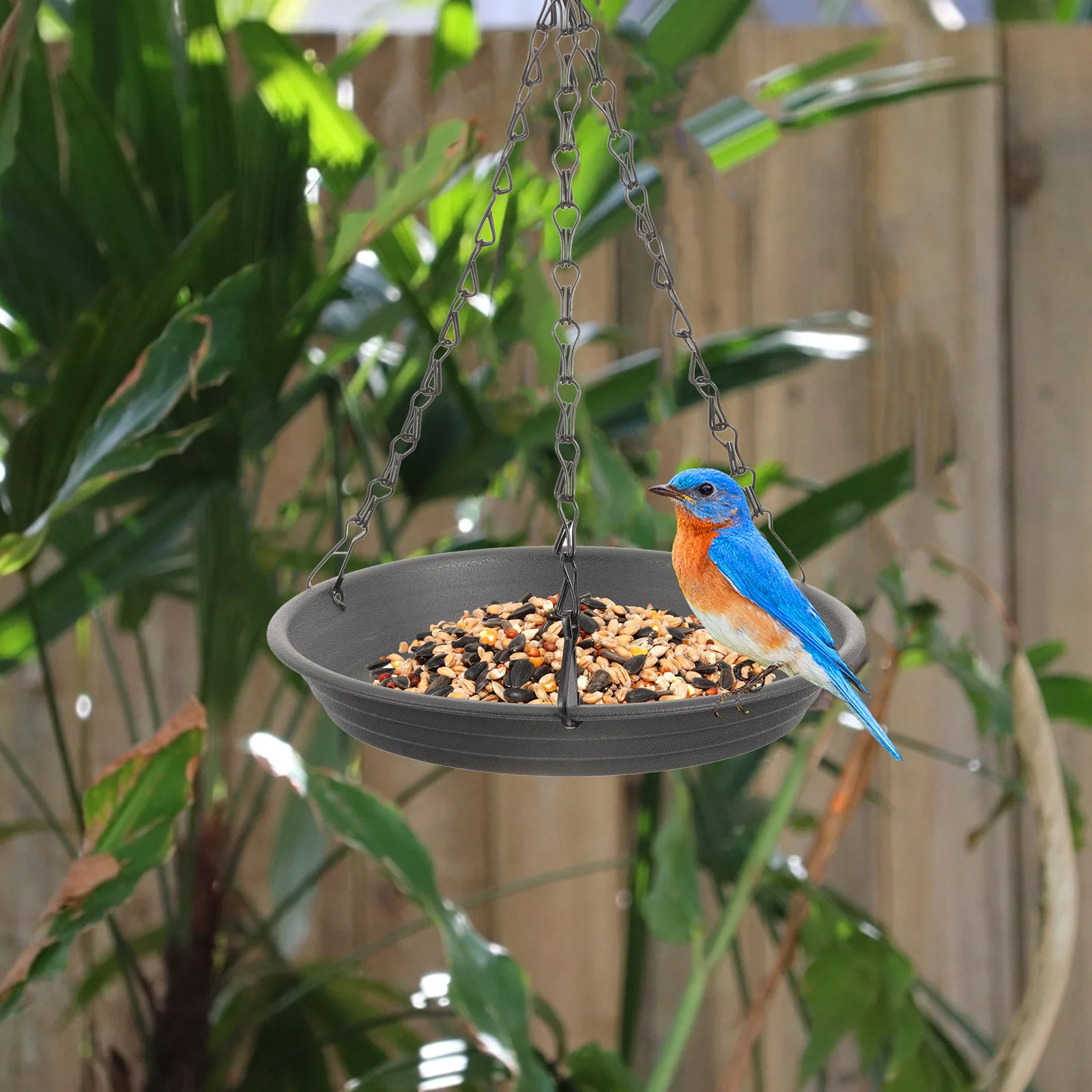 Hanging Bird Feeder Outdoor Solid Tray Feeding Dish Garden Window Mounted Platform Feeder for Wild Birds Bird Water Dish
Hanging Bird Feeder Outdoor Solid Tray Feeding Dish Garden Window Mounted Platform Feeder for Wild Birds Bird Water Dish