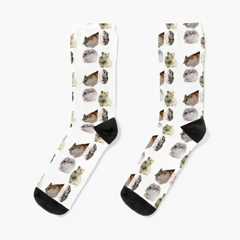 1st MajesticHamster Stickers Package. Cute Hamsters For Every Hamster Owner, Animal Mam, Furbaby Parent. Not Guinea Pig Th Socks
1st MajesticHamster Stickers Package. Cute Hamsters For Every Hamster Owner, Animal Mam, Furbaby Parent. Not Guinea Pig Th Socks
