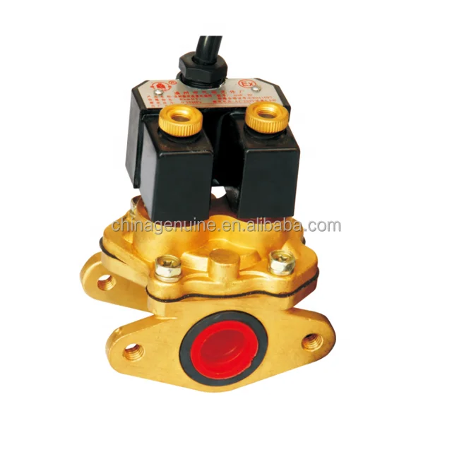 Fuel Dispenser Solenoid Valve 12/24/220v Dual Coil
Fuel Dispenser Solenoid Valve 12/24/220v Dual Coil