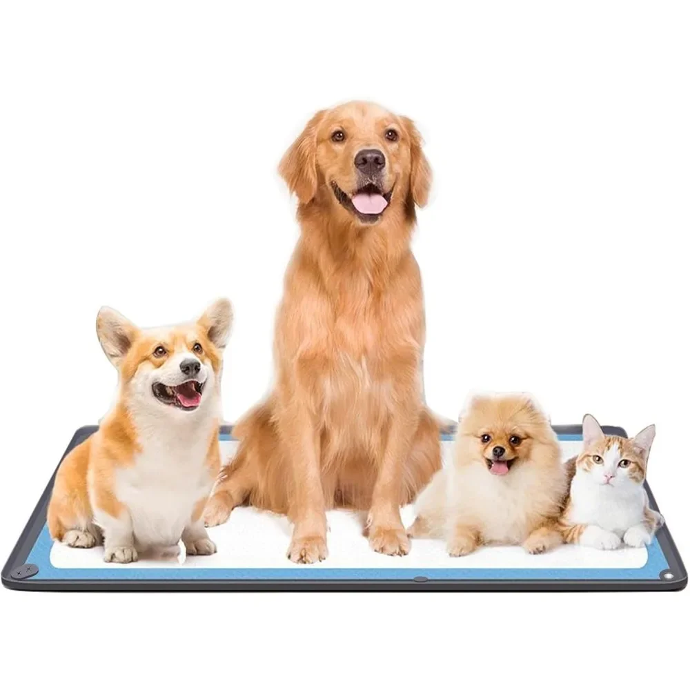 1 foldable silicone dog training board tray - leak proof dog diaper and garbage bin pad
1 foldable silicone dog training board tray - leak proof dog diaper and garbage bin pad