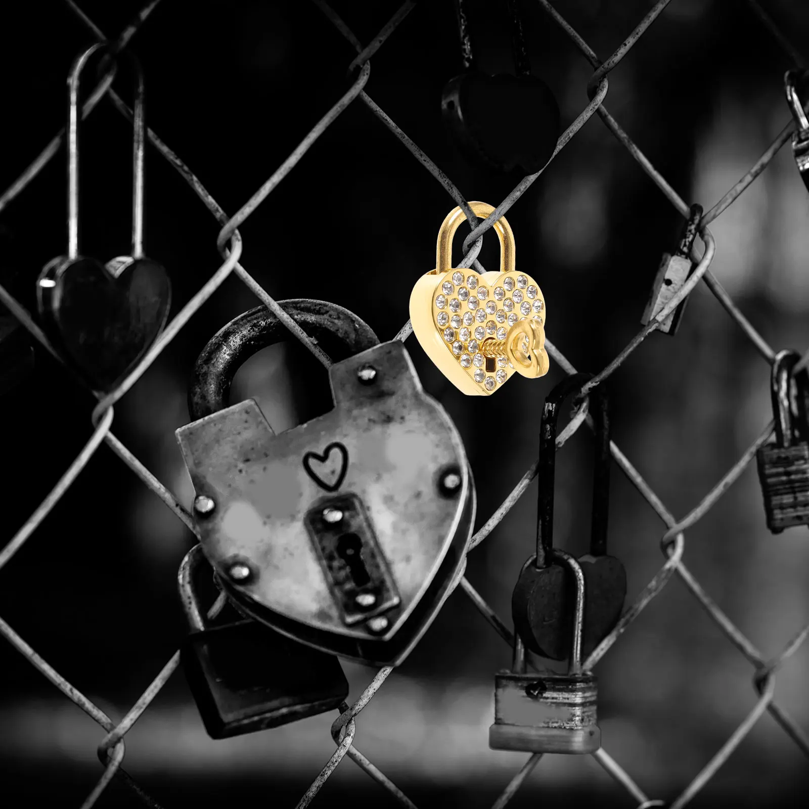2pcs Heart Shaped Padlocks Small Gold Rhinestone Locks for Luggage Diary Handbags Scenic Spots Wishing Love Decorative Durable
2pcs Heart Shaped Padlocks Small Gold Rhinestone Locks for Luggage Diary Handbags Scenic Spots Wishing Love Decorative Durable