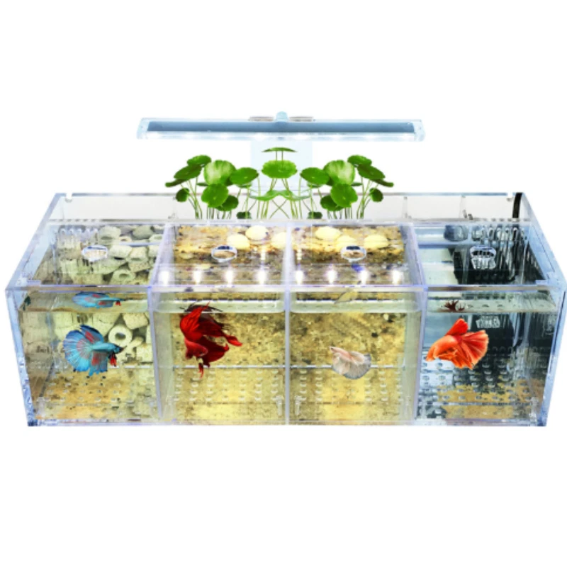 Acrylic Fish Tank Breeding Isolation Box for Goldfish Fighting Fish Small Fry Breeder Aquarium Supplies
Acrylic Fish Tank Breeding Isolation Box for Goldfish Fighting Fish Small Fry Breeder Aquarium Supplies