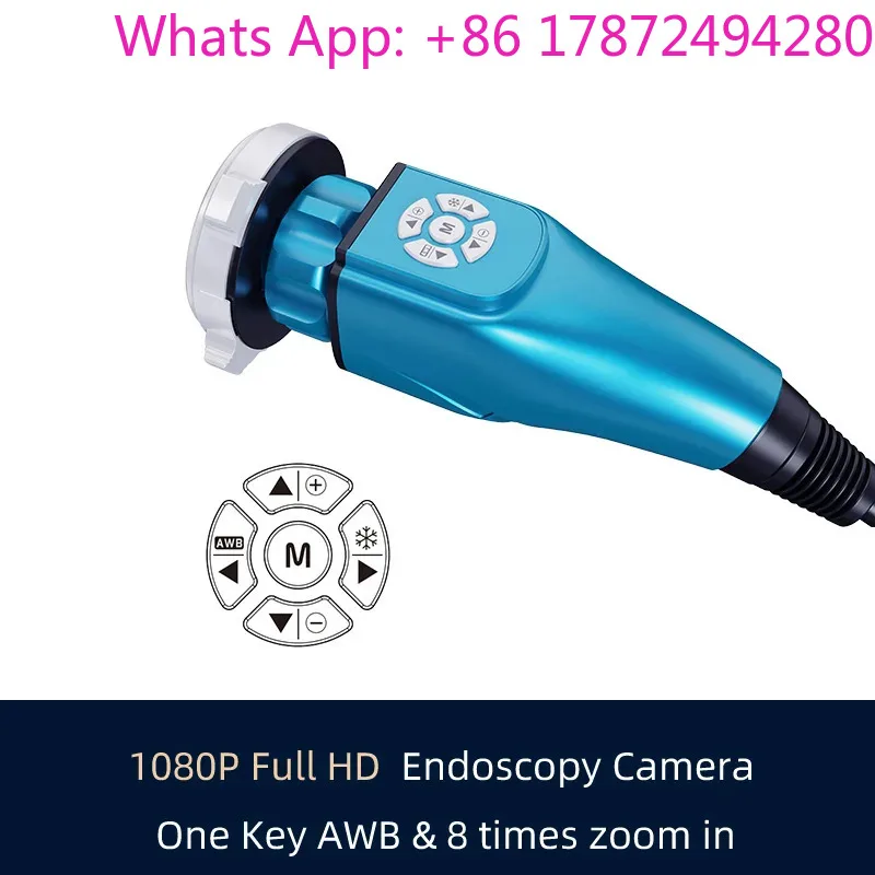 Portable Endoscopy System - Professional ENT & Veterinary Equipment
Portable Endoscopy System - Professional ENT & Veterinary Equipment
