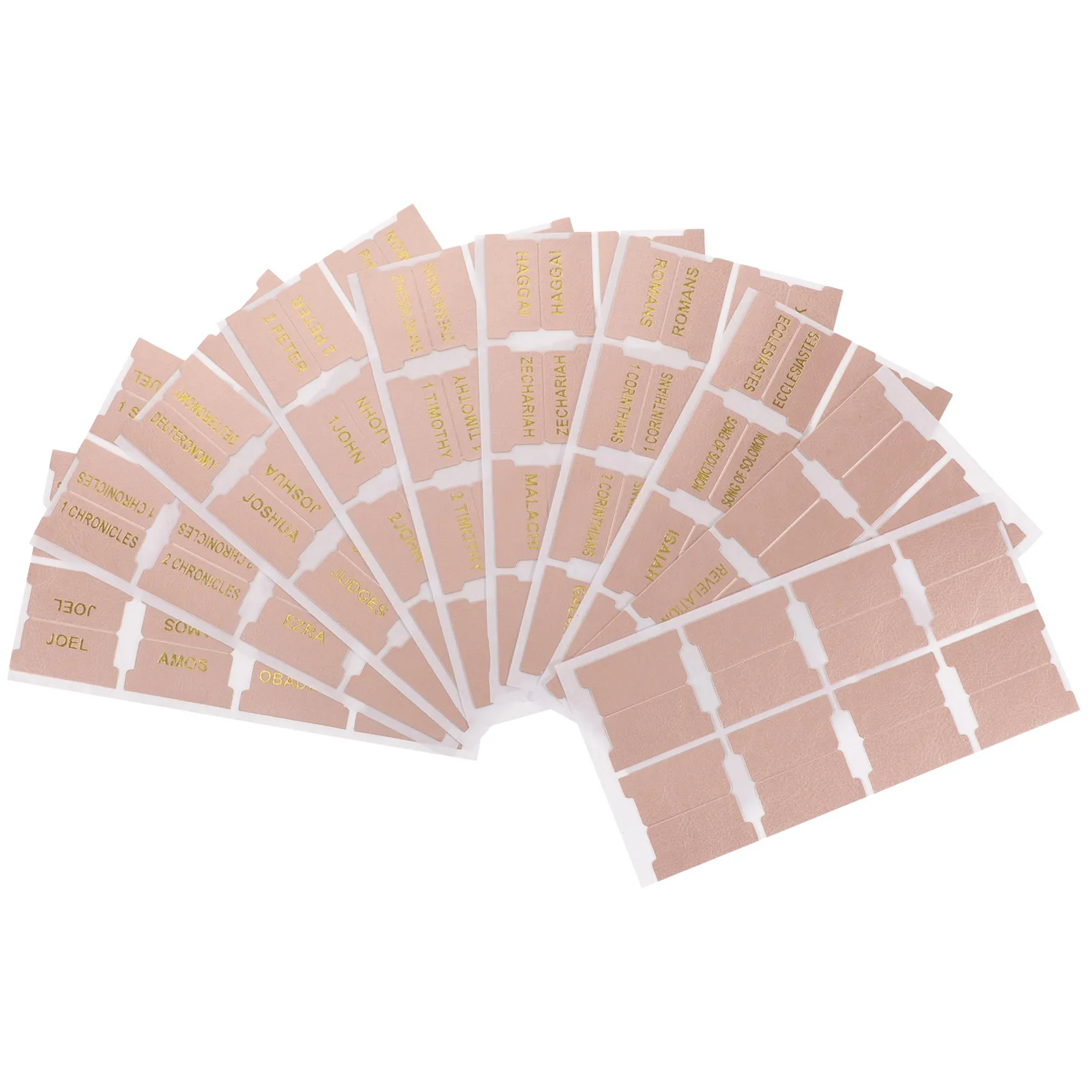 1 set Bible Labels 66 Index Tabs 14 BlankMarkers Practical Study Supplies Book Decorative Reading Accessories
1 set Bible Labels 66 Index Tabs 14 BlankMarkers Practical Study Supplies Book Decorative Reading Accessories