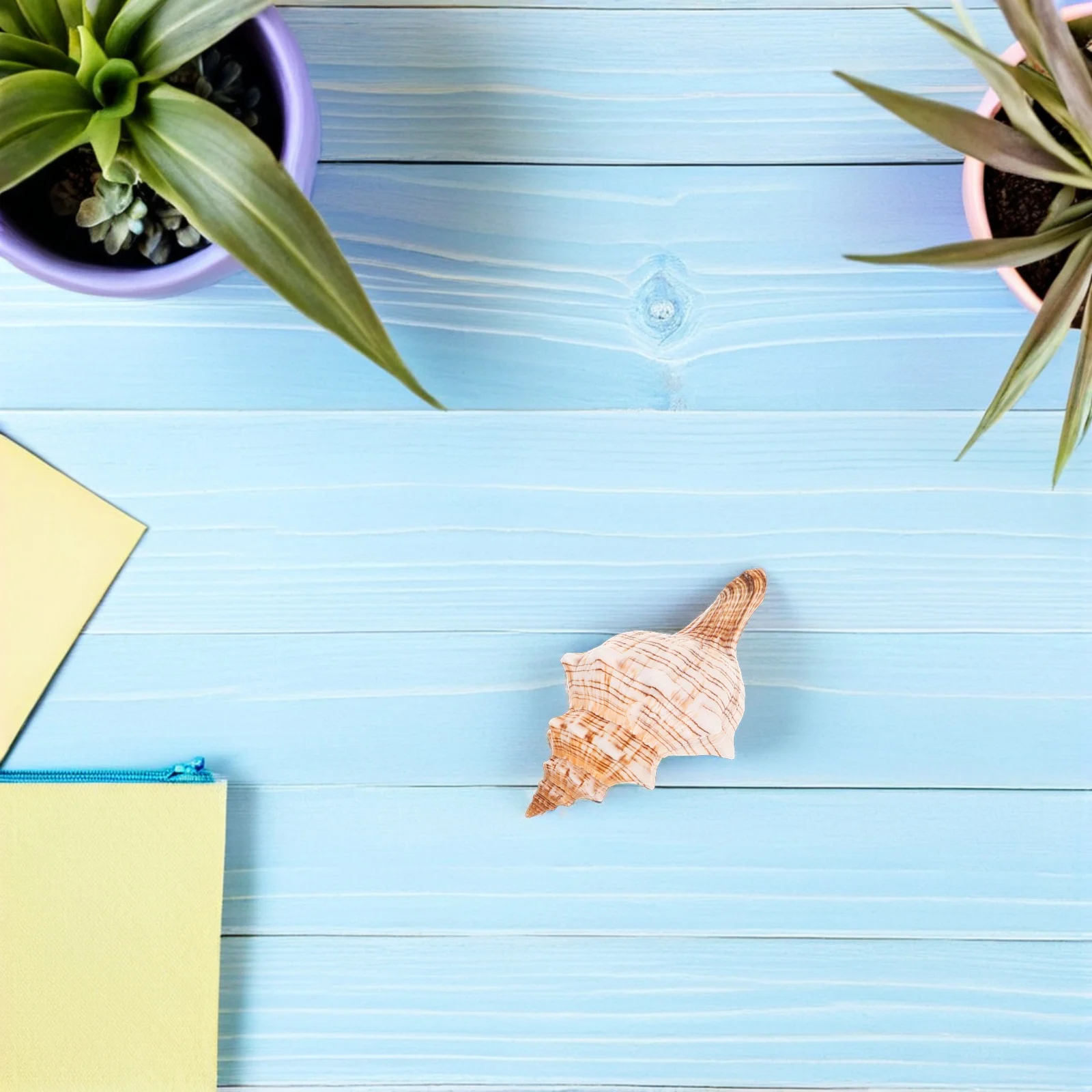 Natural Conch Shells Decorative Seashell For Aquarium Fish Tank Wedding Vase Filler Beach Party Ornament Marine Centerpiece
Natural Conch Shells Decorative Seashell For Aquarium Fish Tank Wedding Vase Filler Beach Party Ornament Marine Centerpiece