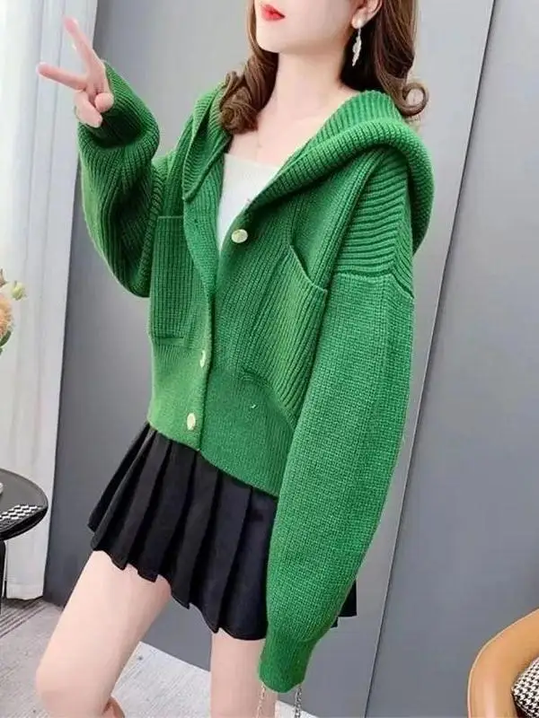 Retro Hooded Open Cardigan Sweater Women's Autumn Winter Loose Lazy Style Short Knitted Jacket Top Warmth Heating Pure Color
Retro Hooded Open Cardigan Sweater Women's Autumn Winter Loose Lazy Style Short Knitted Jacket Top Warmth Heating Pure Color