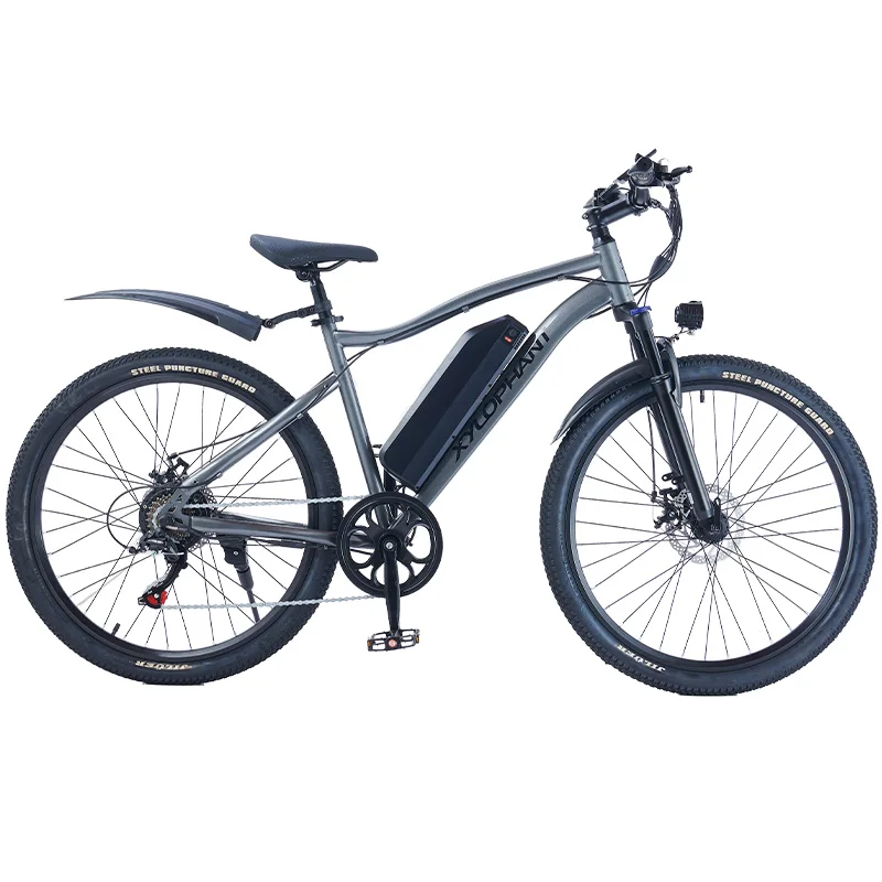 Iron Frame Electric Bicycle 26" Wheels 350W Motor | 7-Speed Gears & Detachable Battery | City/Road Use
Iron Frame Electric Bicycle 26" Wheels 350W Motor | 7-Speed Gears & Detachable Battery | City/Road Use