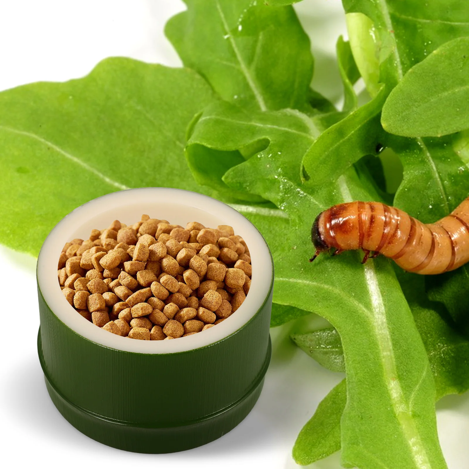 Anti-Escape Feeding Bowl Resin Reptile Food Water Dish Bearded Dragon Lizard Hamster Snake Turtle Terrarium Accessory Bowl
Anti-Escape Feeding Bowl Resin Reptile Food Water Dish Bearded Dragon Lizard Hamster Snake Turtle Terrarium Accessory Bowl