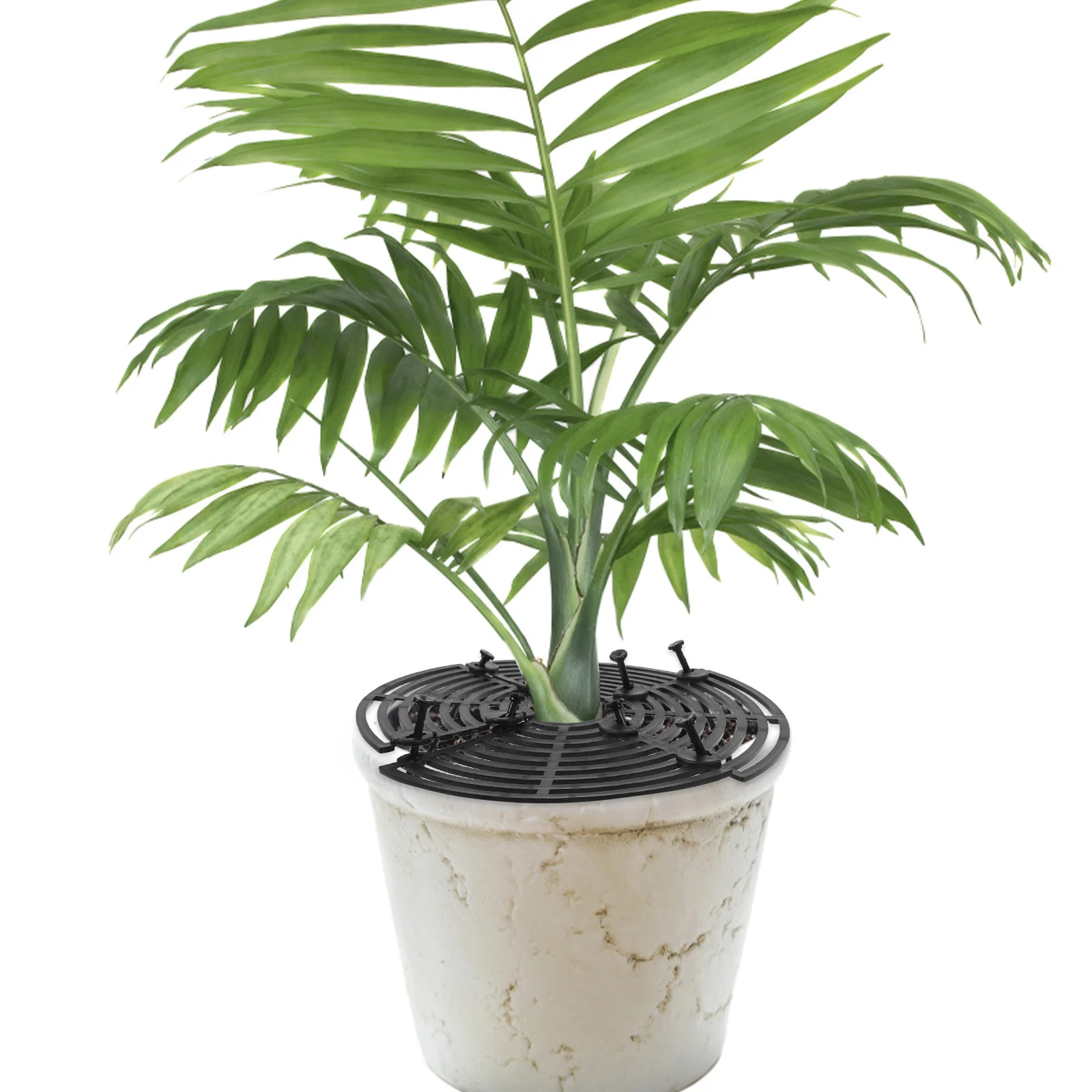 4Pcs Plant Pot Grid Cover Stakes Black Mesh Soil Protector Indoor Outdoor Prevents Pet Digging Supports Drainage Airflow Plant
4Pcs Plant Pot Grid Cover Stakes Black Mesh Soil Protector Indoor Outdoor Prevents Pet Digging Supports Drainage Airflow Plant