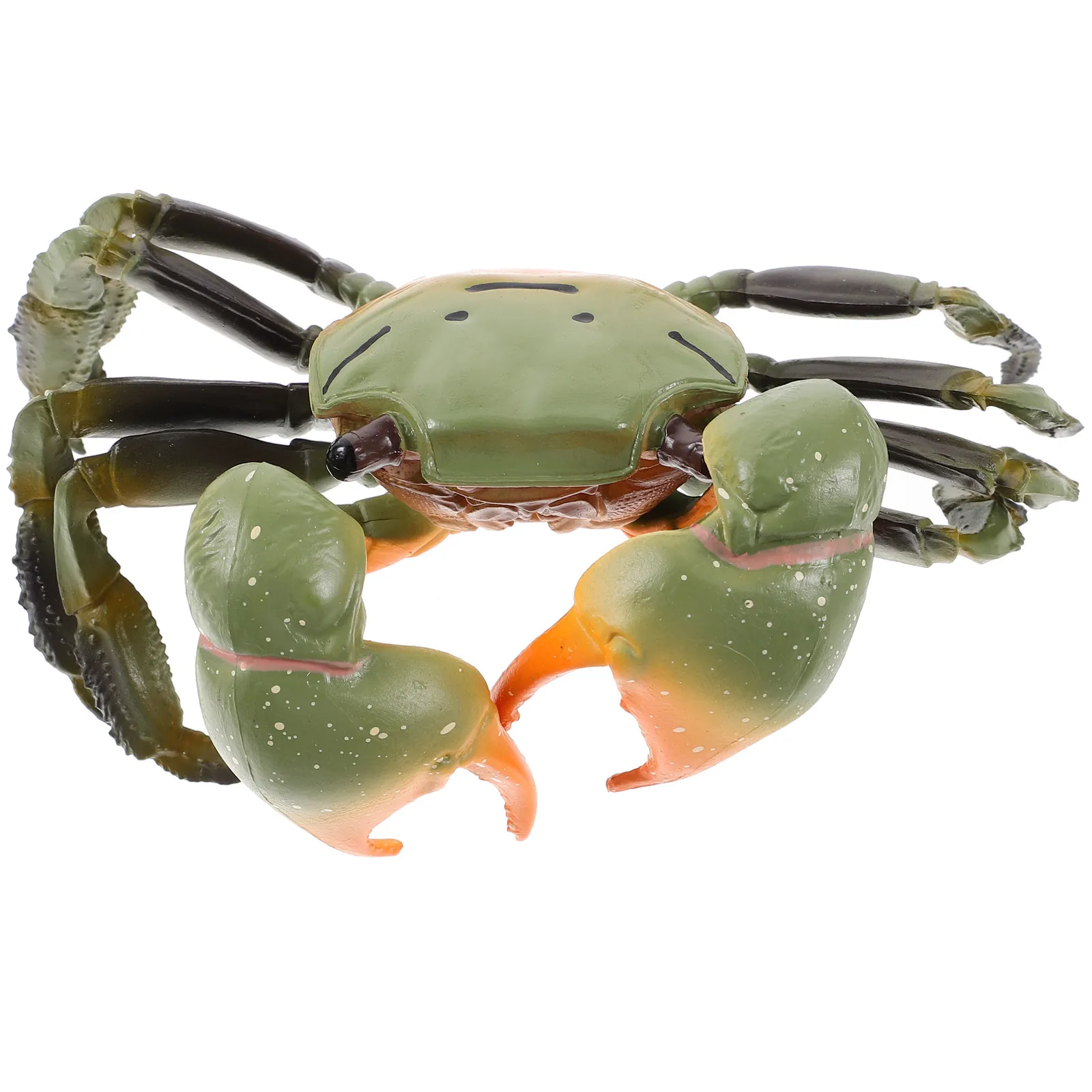Realistic Plastic Crab Decoration for Aquarium Terrarium Home Office Educational Learning Tool Creative Simulation Sea Animal
Realistic Plastic Crab Decoration for Aquarium Terrarium Home Office Educational Learning Tool Creative Simulation Sea Animal
