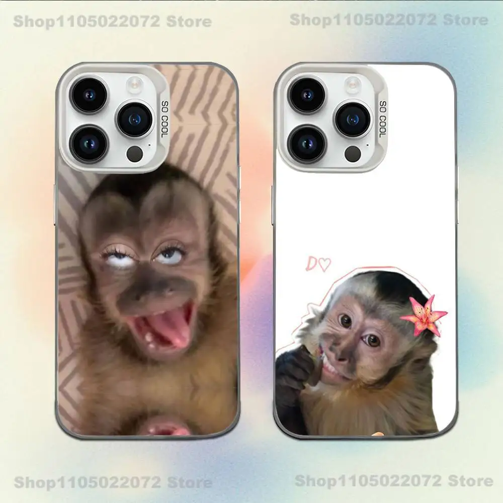 Cute Funny Monkey Phone Case For iPhone 16,15,14,13,12,11,Mini,Pro,E,MAX White Candy Matte Shockproof Cover
Cute Funny Monkey Phone Case For iPhone 16,15,14,13,12,11,Mini,Pro,E,MAX White Candy Matte Shockproof Cover